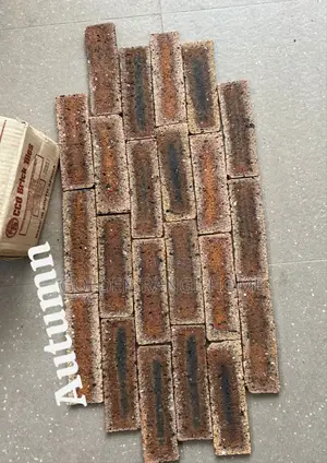 Photo - (Autumn) South African Bricks Stone Tiles