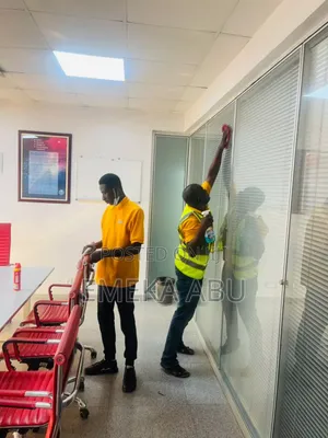 Professional Cleaners