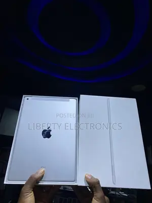 Apple iPad 9.7 256 GB Silver