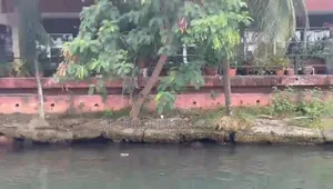 7,226 SQM of Land for Sale at Victoria Island