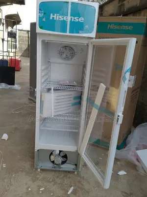 Convenient Hisense Fl 30-Fc Refrigerator- Easy Access