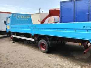 Mini Truck