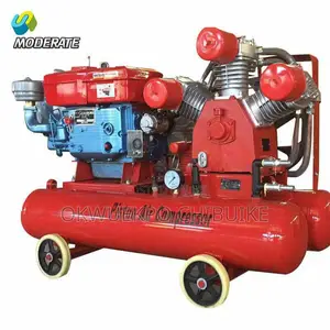 Air Compressor Disease Engine 300L