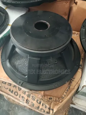 Professional Naked Speaker 18"Speaker