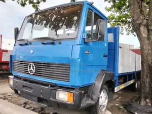 Mini Truck
