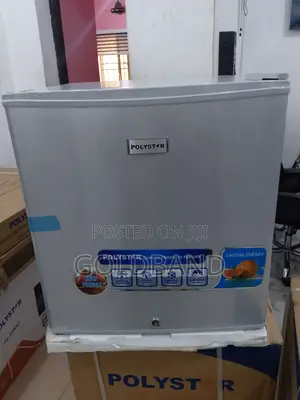 Polystar 45l Mini Fridge - Reliable Cooling Performance