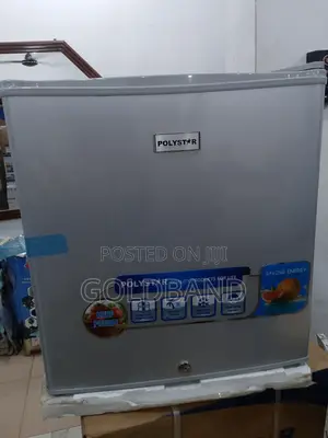 Polystar Icecube 45l Refrigerator– Small but Mighty Cooling