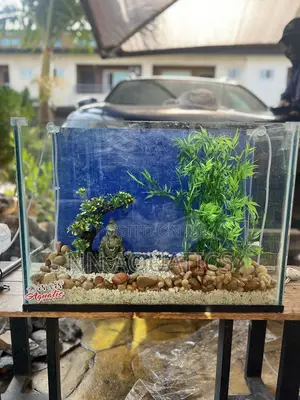 2ft by 20 Inch Aquarium