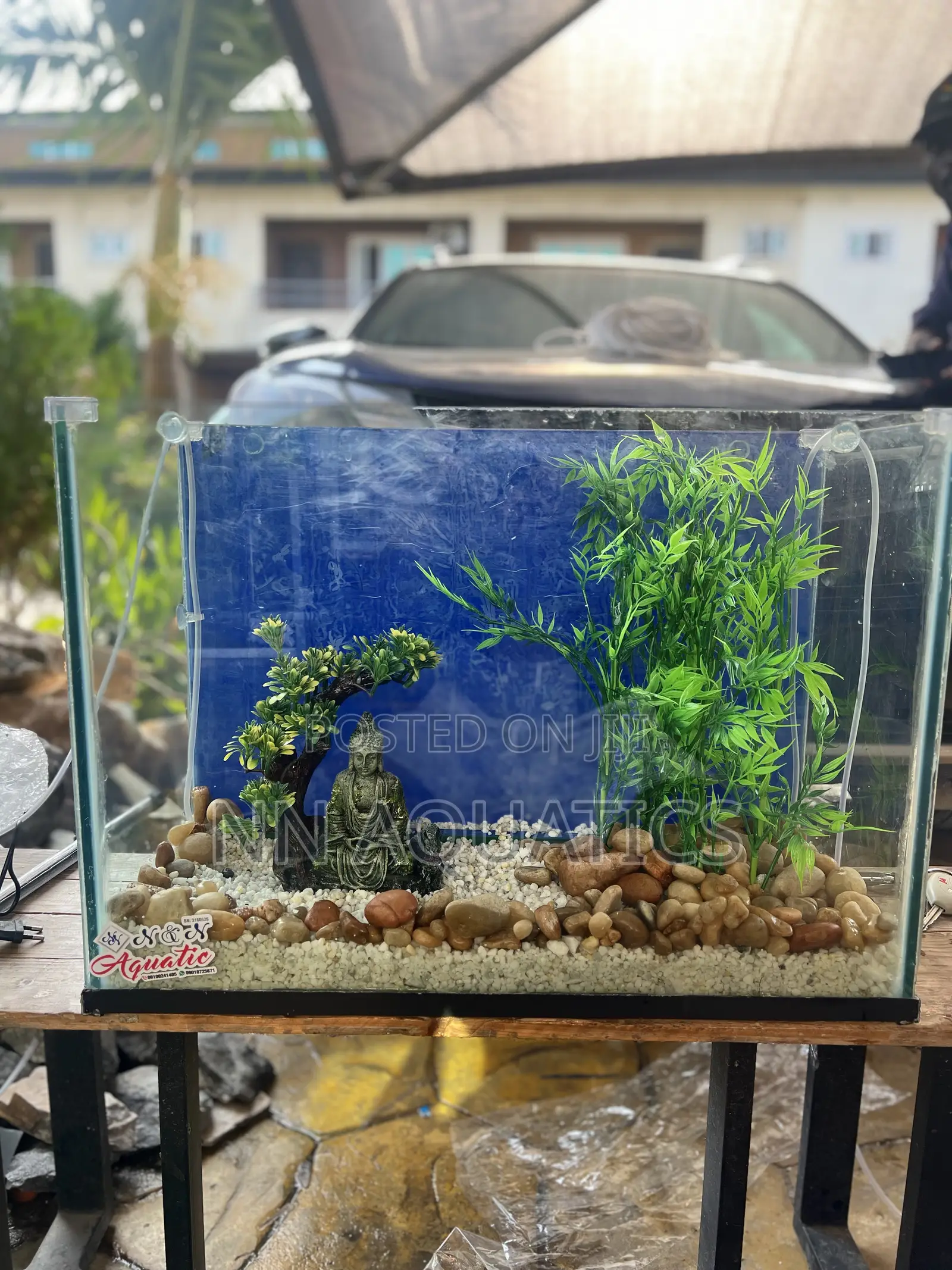 2ft by 20 Inch Aquarium