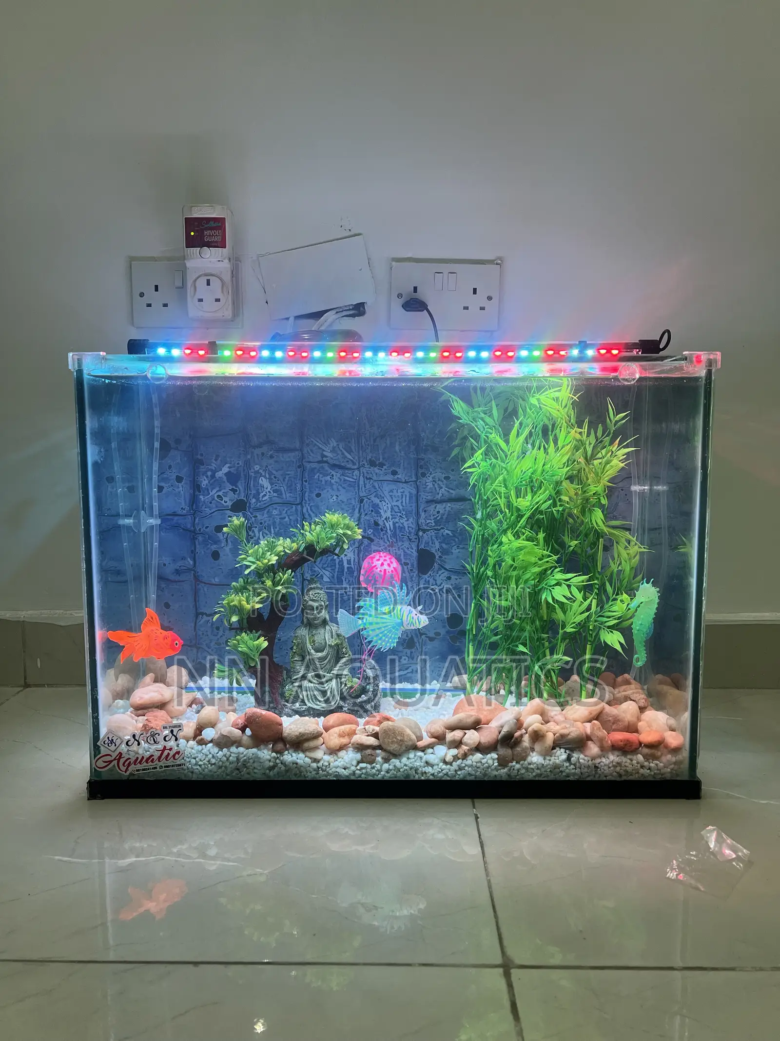 2ft by 20 Inch Aquarium