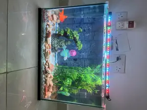 2ft by 20 Inch Aquarium