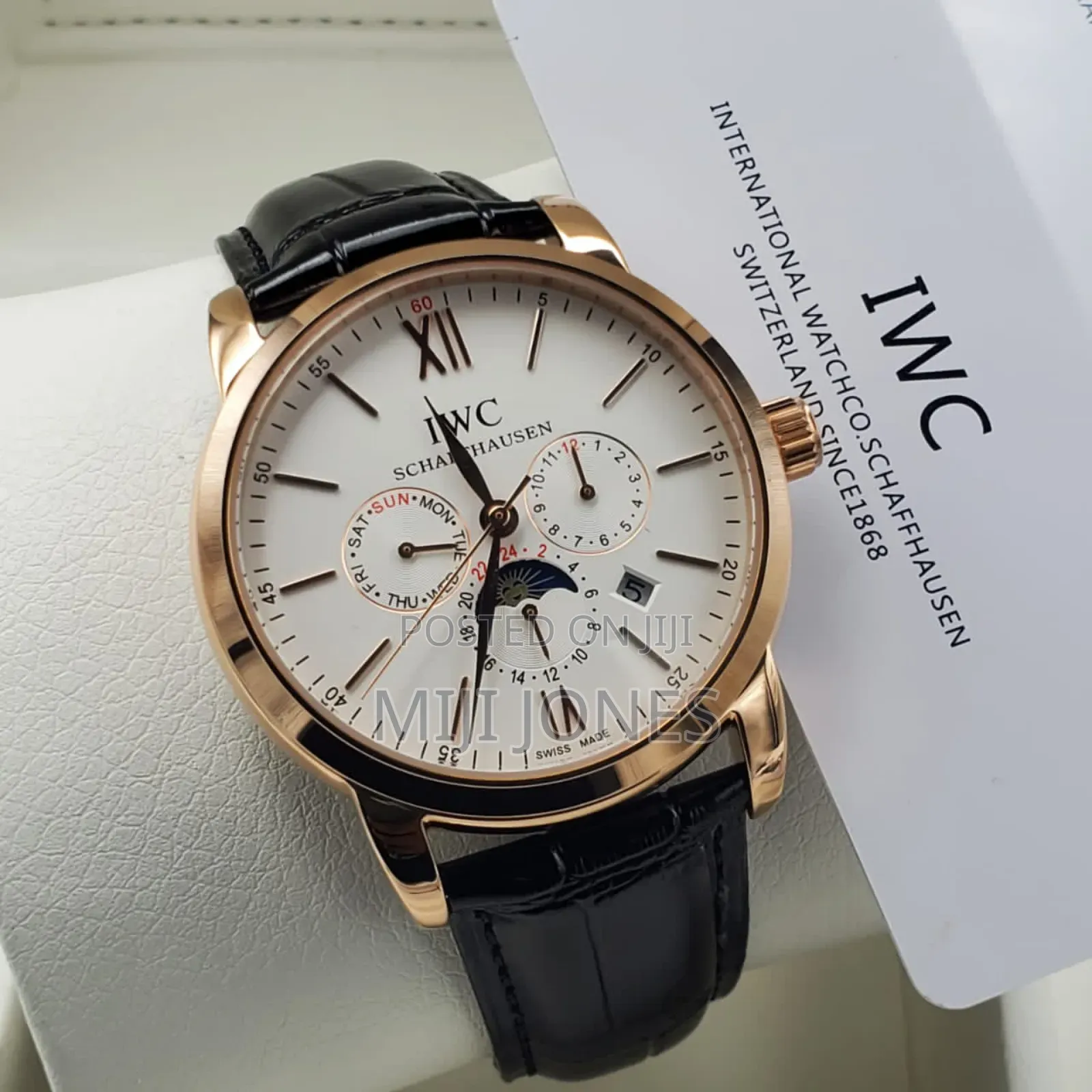 Men's Iwc Style Automatic Leather Watch