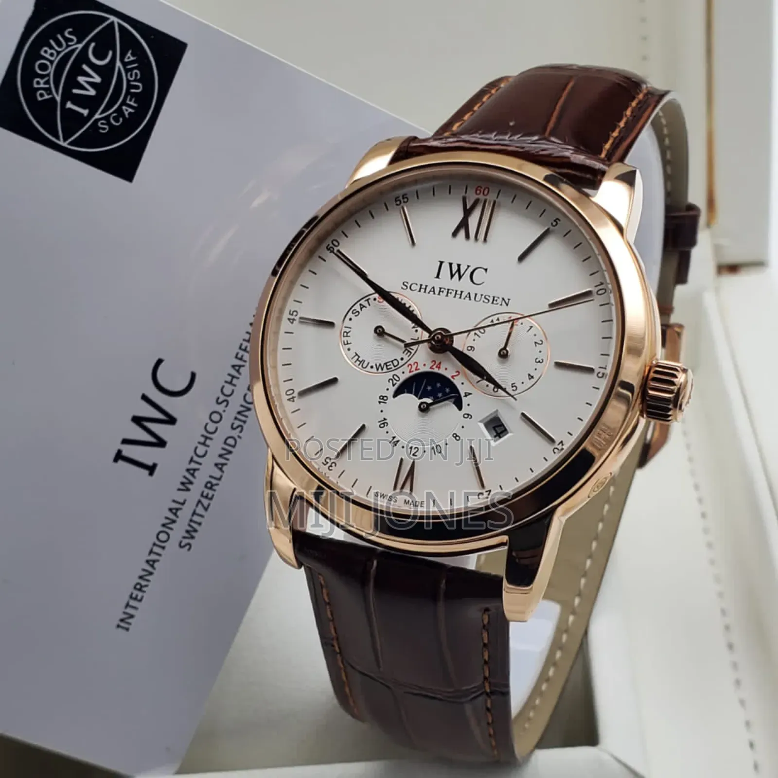 Men's Iwc Style Automatic Leather Watch