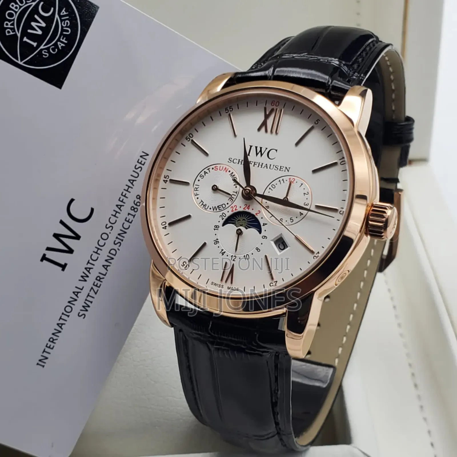 Men's Iwc Style Automatic Leather Watch