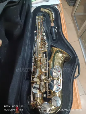 Usa Professional Tokunbo Alto Saxophone