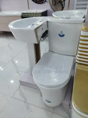 Excellent Toilet Seat With Wash Hand Basin