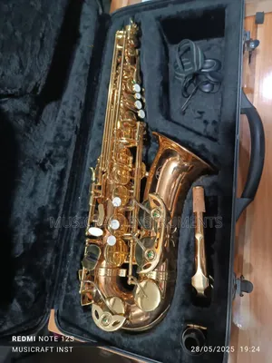 Eva Professional Alto Saxophone