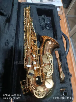 Eva Professional Alto Saxophone