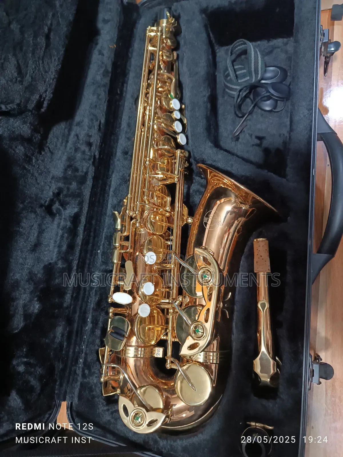 Eva Professional Alto Saxophone