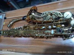 Eva Professional Alto Saxophone