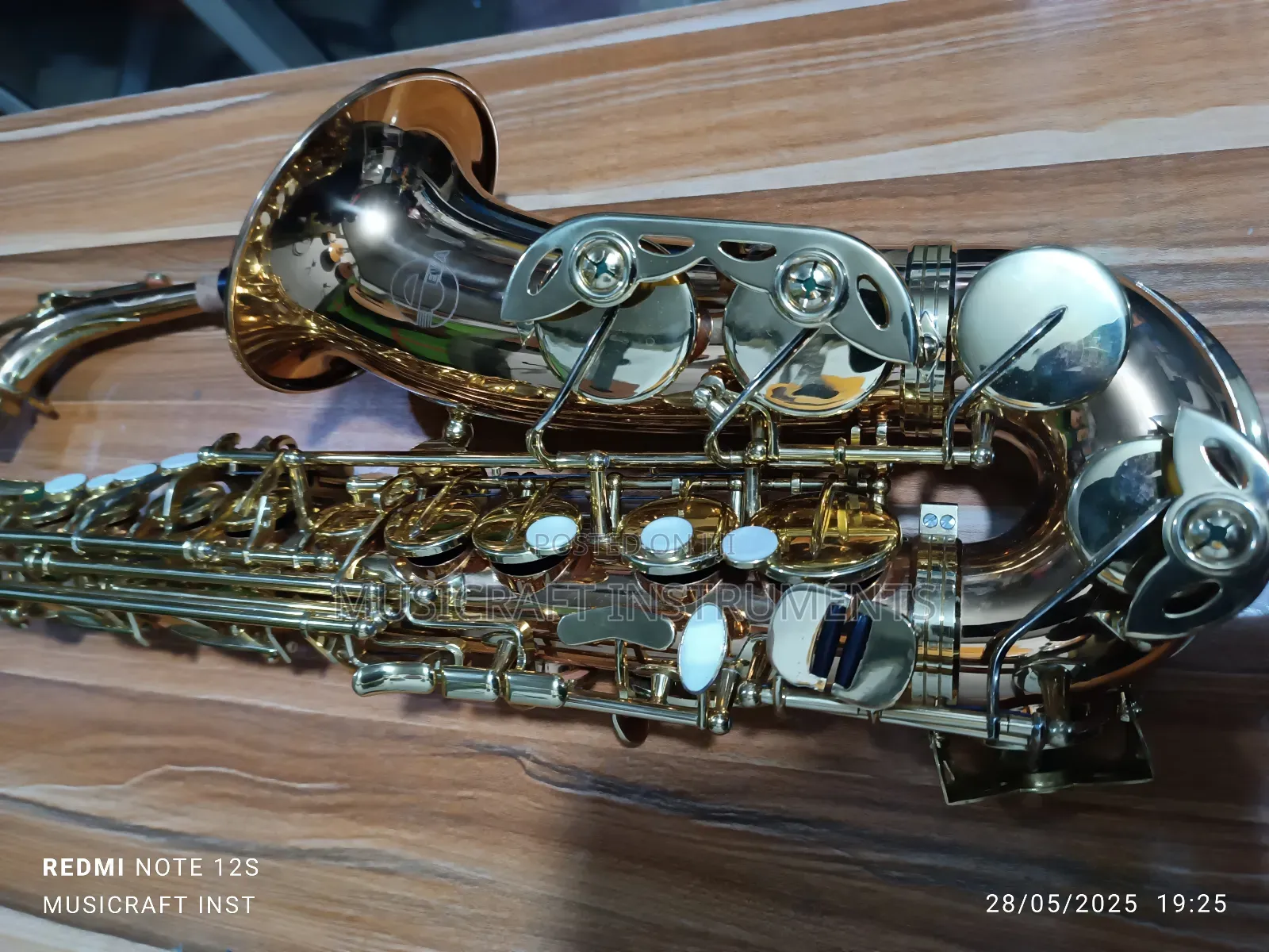 Eva Professional Alto Saxophone