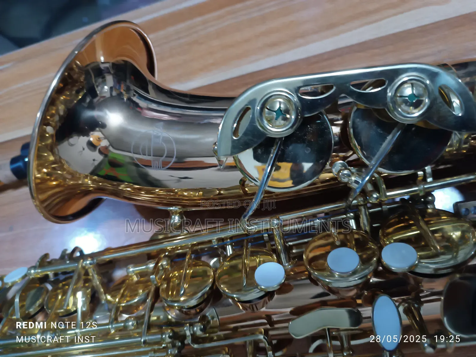 Eva Professional Alto Saxophone