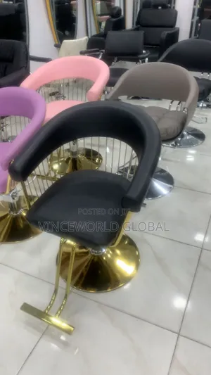 Unique Salon Chair