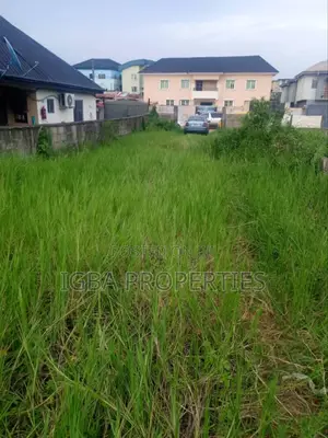 Half Plot on 300m2 at Gbagada Lagos 55m Asking