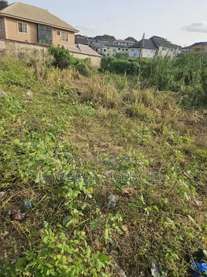 Fenced and Gated Land at Oluwole Avenue Ifako Gbagada