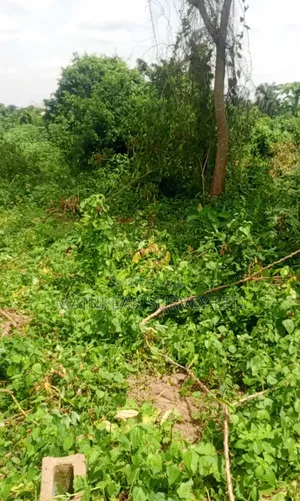 Photo - Half Plot of Land at Dabiri, Moniya