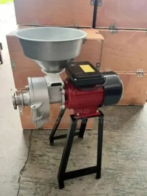 Wet and Dry Grinder