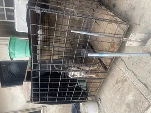 Dual Space Iron Dog Cage