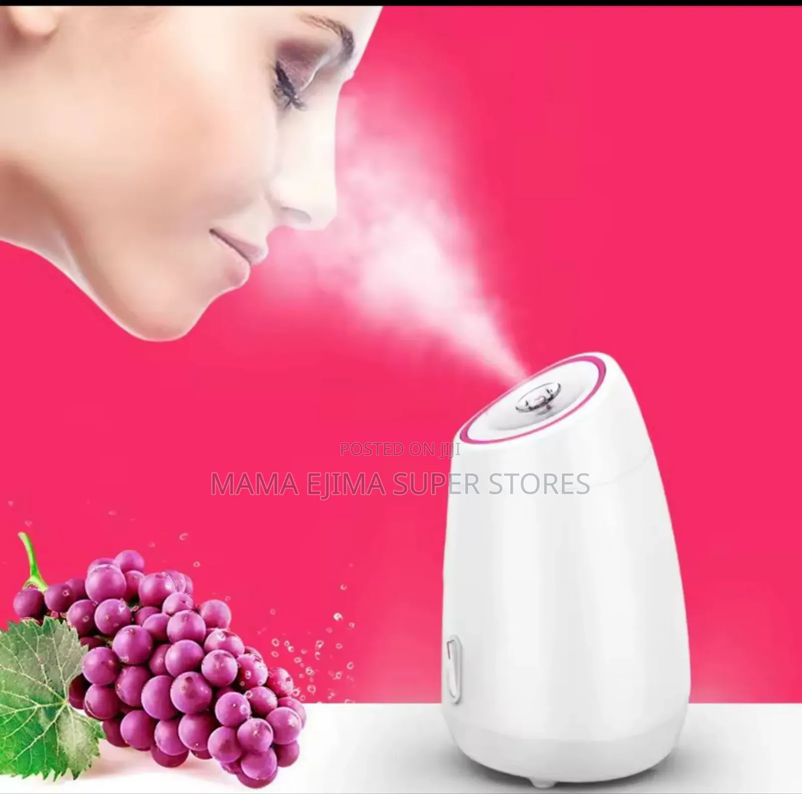 Face Steamer Humidifier Hot Cold Nano Mist Sprayer Spa Fac