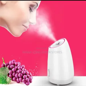 Face Steamer Humidifier Hot Cold Nano Mist Sprayer Spa Fac