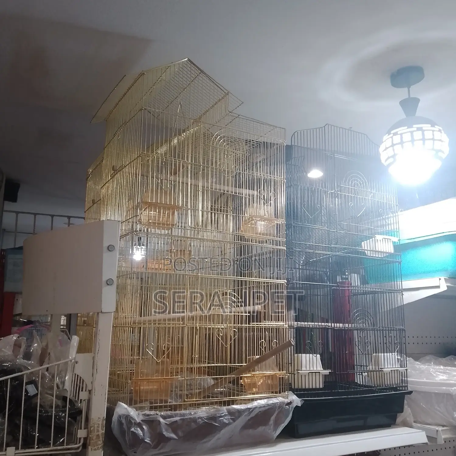 Parrot Cage