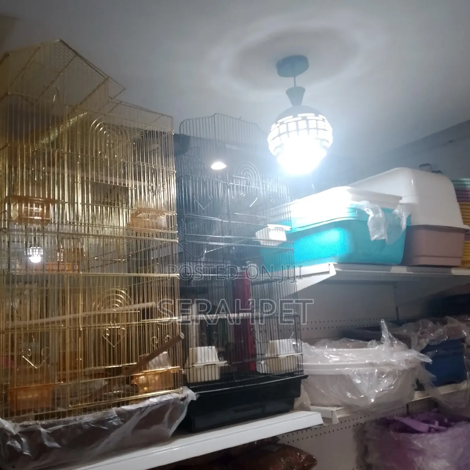 Parrot Cage