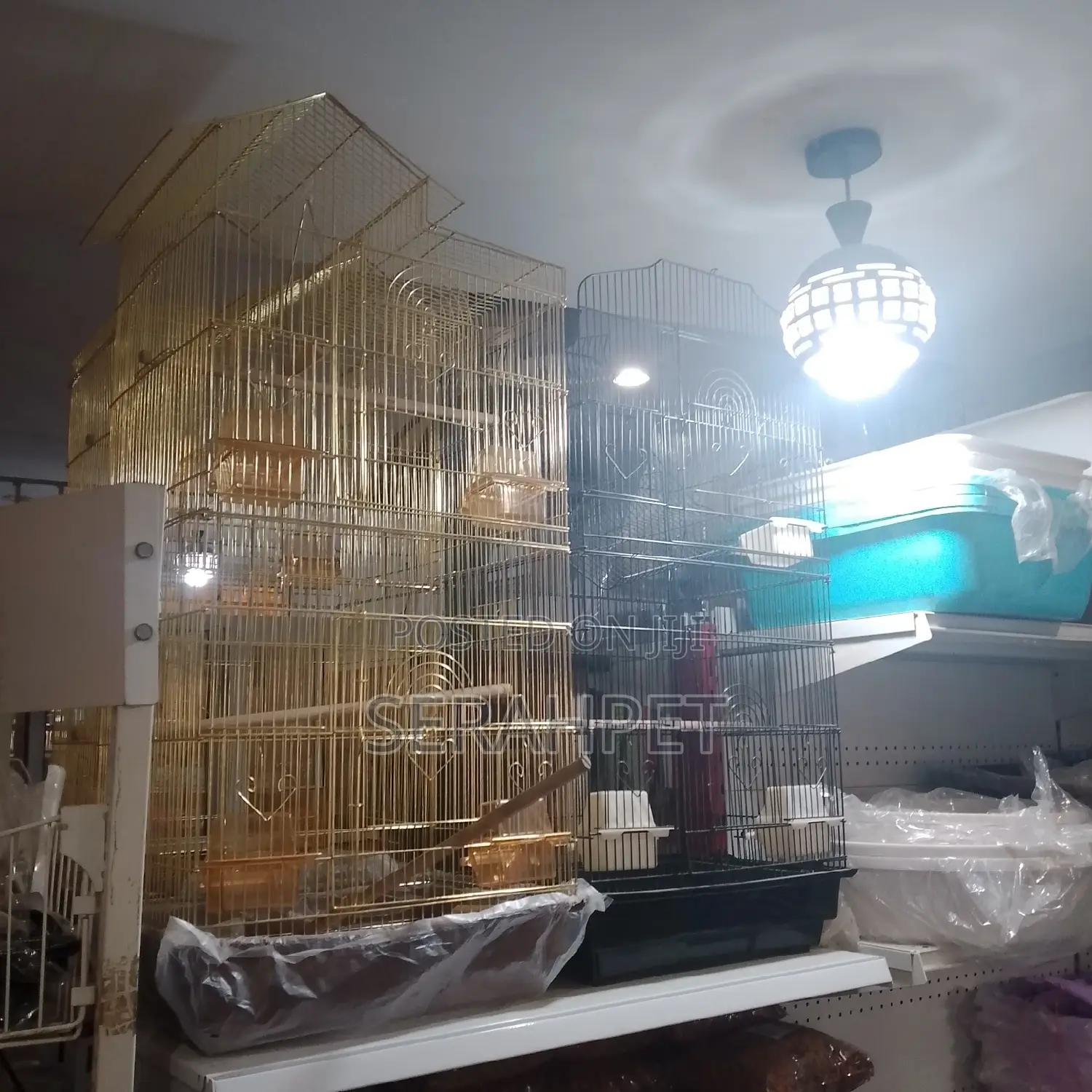 Parrot Cage