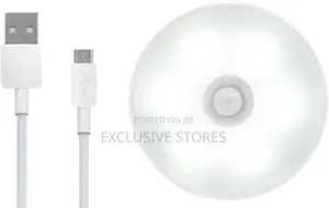 Motion Sensor Light