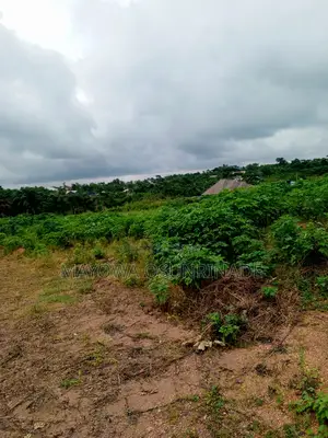 Photo - Land for Sale With Good Document on It