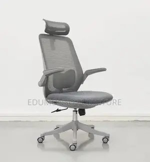 Comfort Office Seat Ergonomic Study Chair Backrest