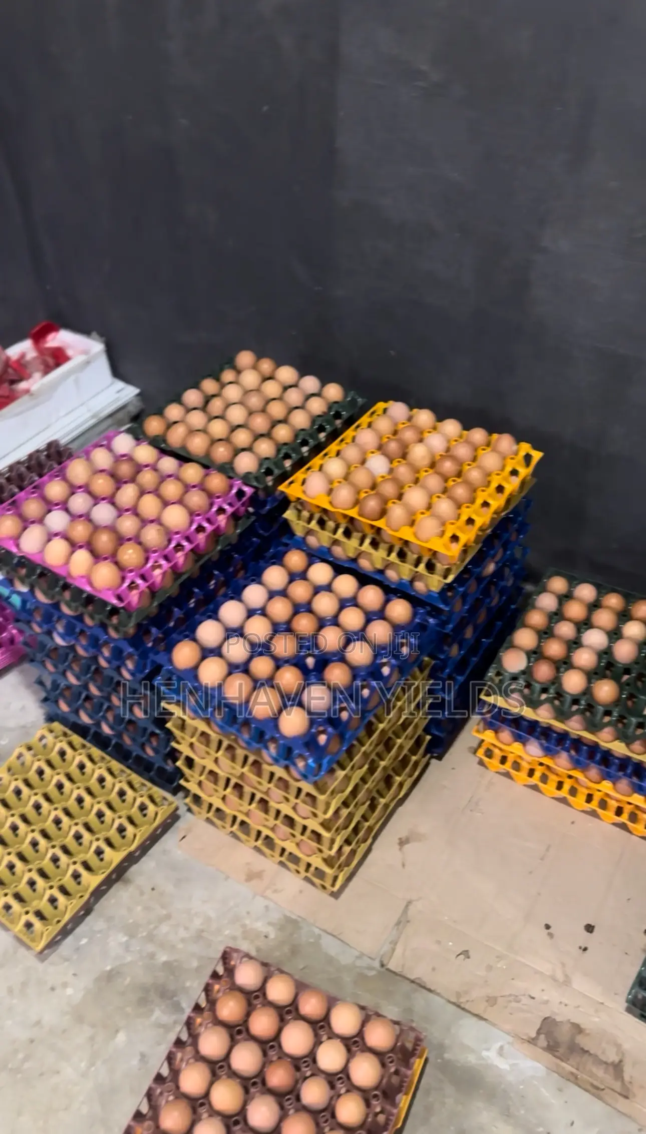 Fresh Egg Sales