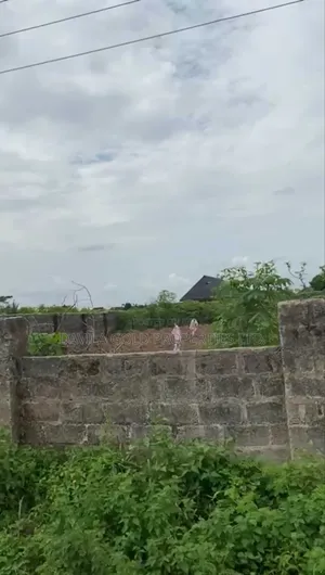 Alert  Nice and Affordable Land for Sale at Amagba.