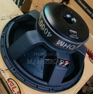 Photo - Original Titanic 4000 Walt's Woofer