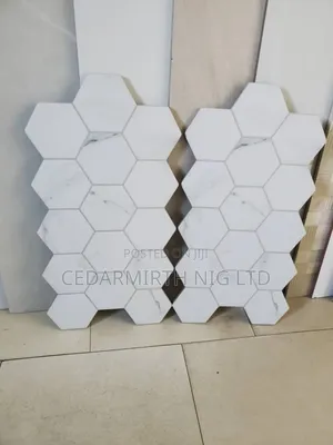 Floor Wall Hexagon Tile (/05/25 )