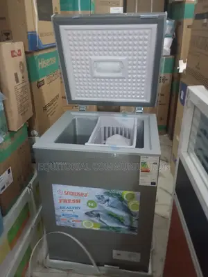 Snowsea Bd-158: Arctic-Grade Performance Unit Chest Freezer