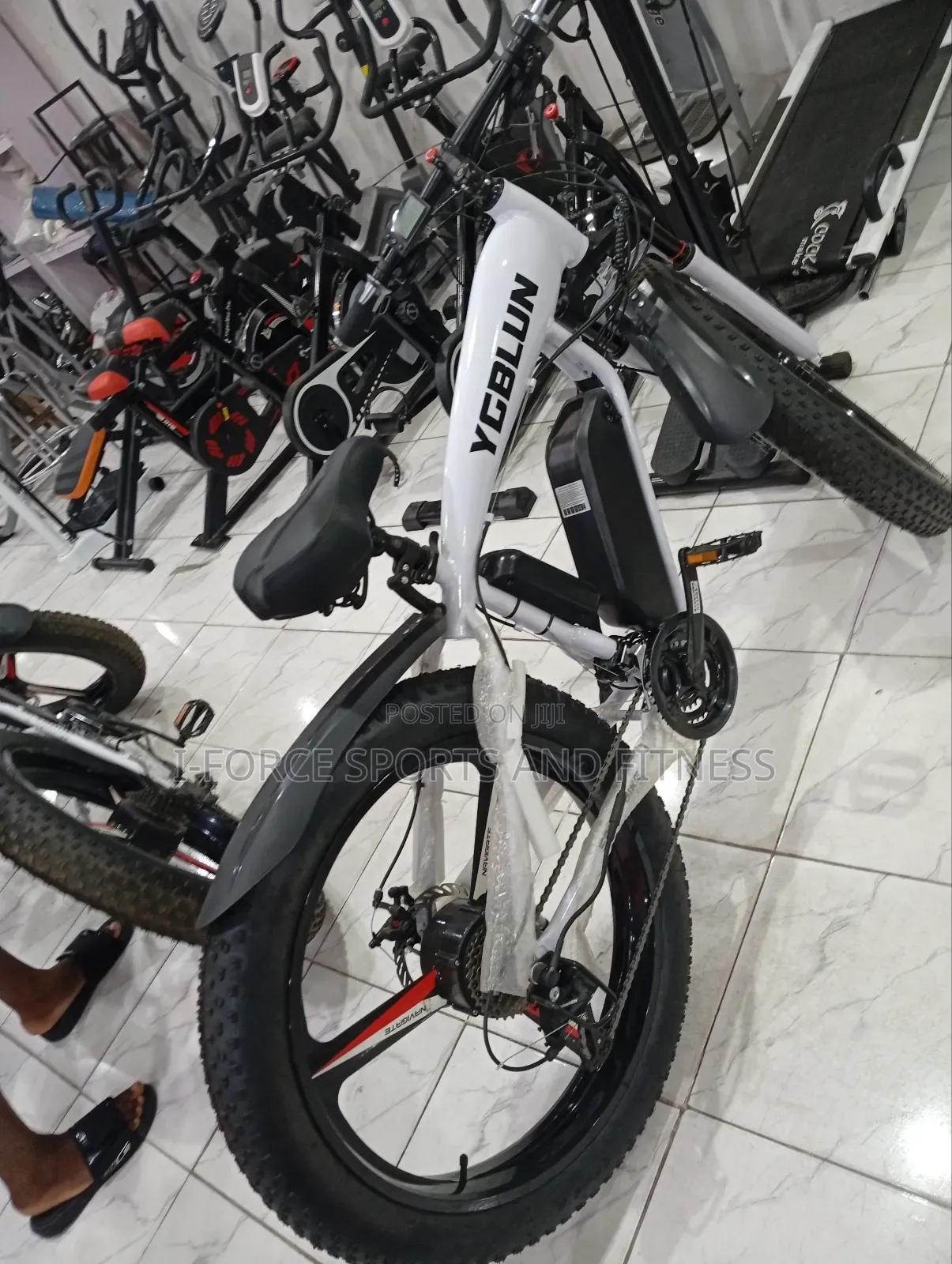Electric Bike