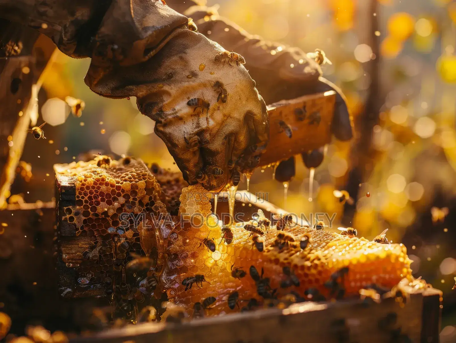 Unadulterated Honey