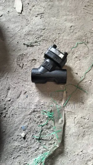 Steam Strainer Valve