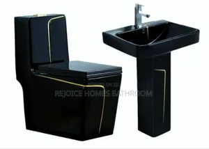 Luxury Black Ceramic Wc Toilet Basin Set Gold Line Design