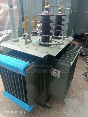 300kva 33kv/400v Astor Transformer: